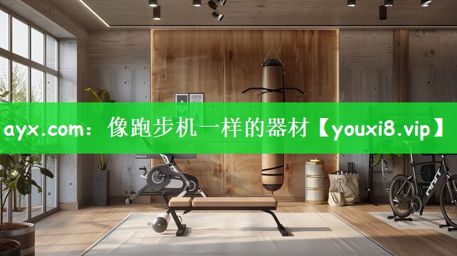 ayx.com：像跑步机一样的器材