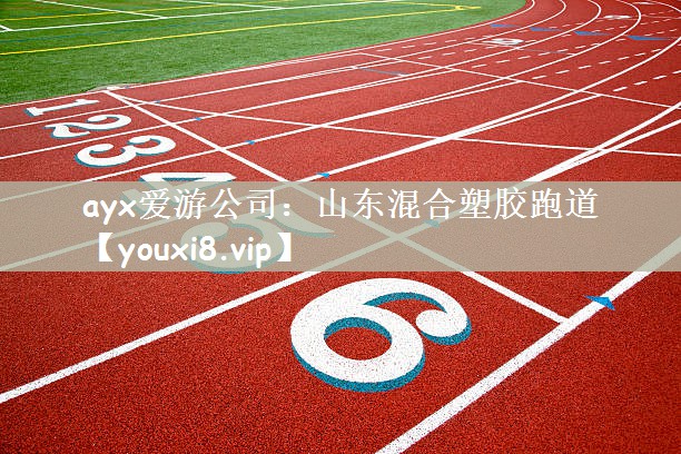 ayx爱游公司：山东混合塑胶跑道