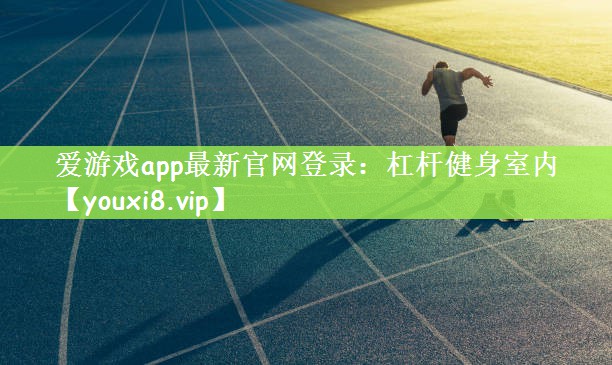 爱游戏app最新官网登录：杠杆健身室内