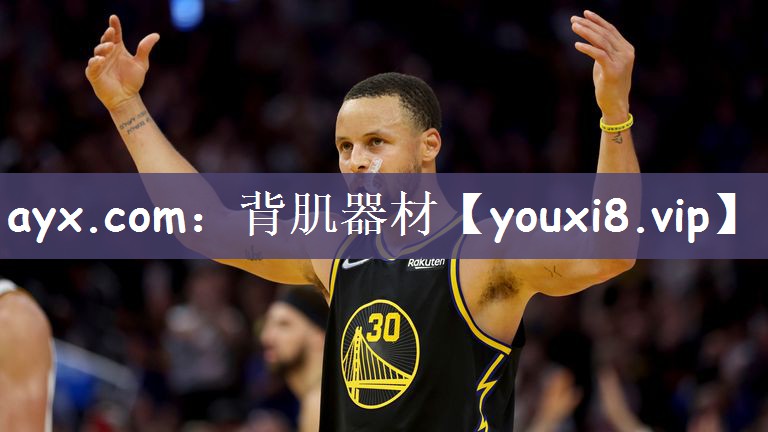 ayx.com：背肌器材