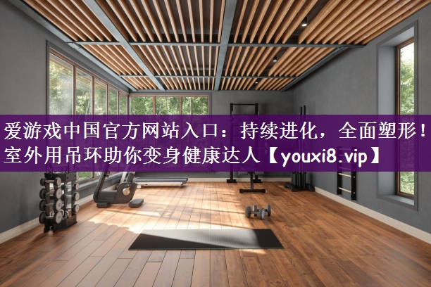 爱游戏中国官方网站入口：持续进化，全面塑形！室外用吊环助你变身健康达人