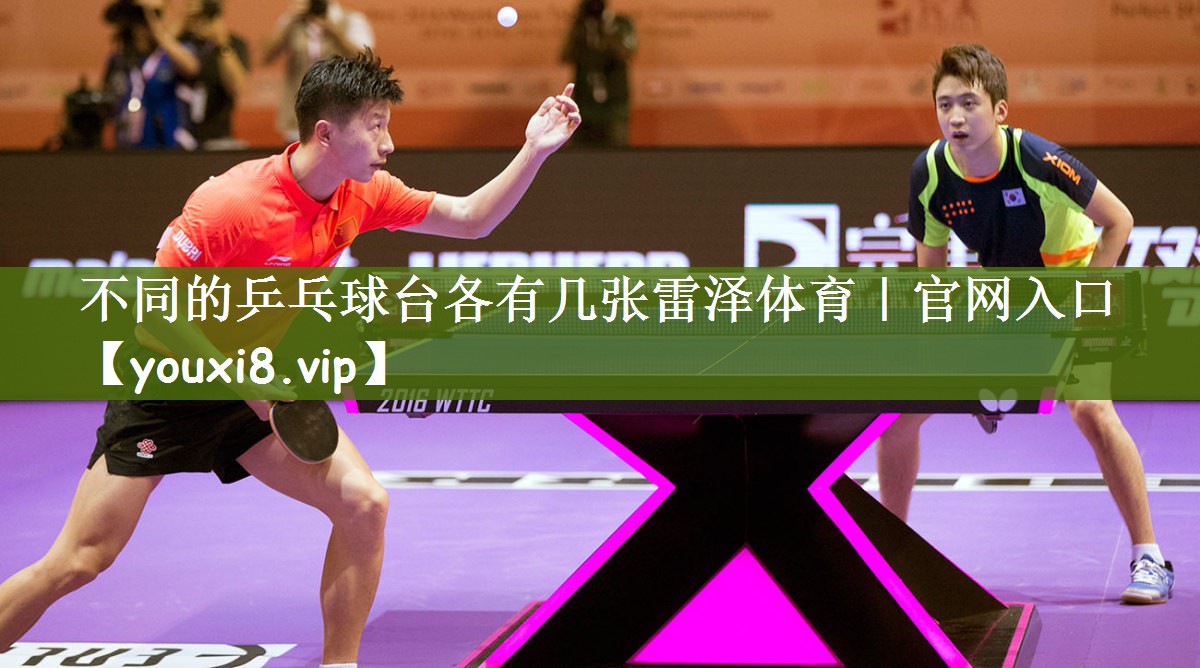 不同的乒乓球台各有几张雷泽体育｜官网入口