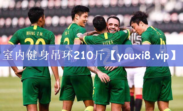 室内健身吊环210斤