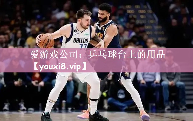 乒乓球台上的用品