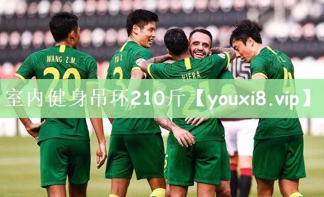 室内健身吊环210斤